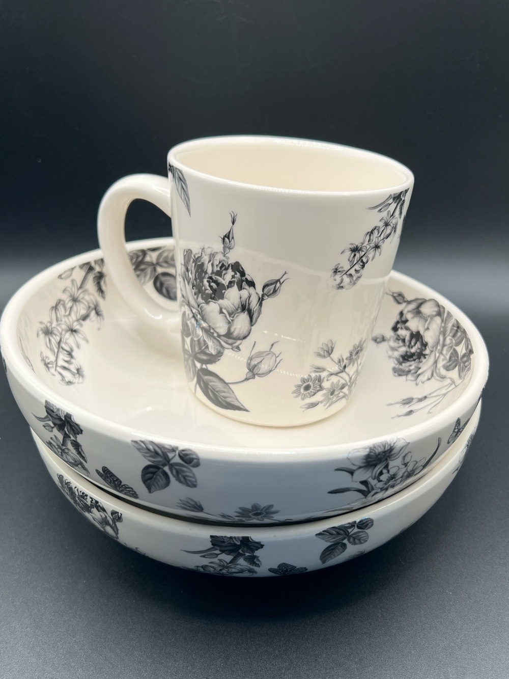 ✨ Title: Pier 1 Ironstone Black & White Floral Toile Bowls & Mug Set